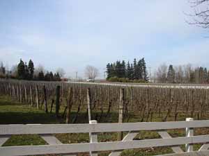 Winery Troutdale