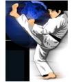 Ernie Reyes World Martial Arts Company Information on Ask A Merchant