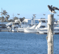 Marinas in Portland (Companies And Services in Ask A Merchant)