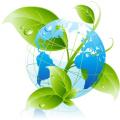Green Cleaning Services, Inc. Company Information on Ask A Merchant