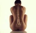 Chiropractic in Portland (Companies And Services in Ask A Merchant)