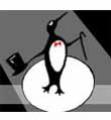A Dancing Penguin Music Company Information on Ask A Merchant