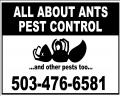 All About Ants Pest Control Company Information on Ask A Merchant